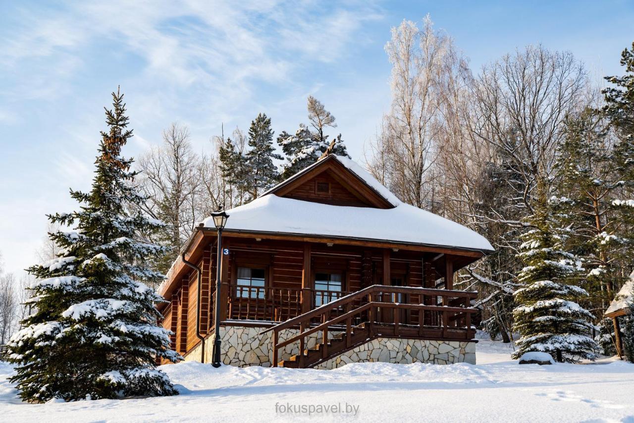 Ski Complex Logoysk Lahojsk Buitenkant foto